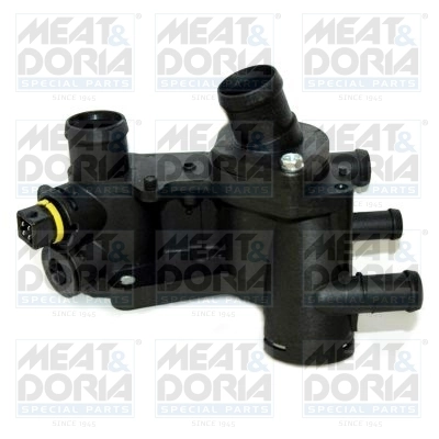 Thermostat, coolant